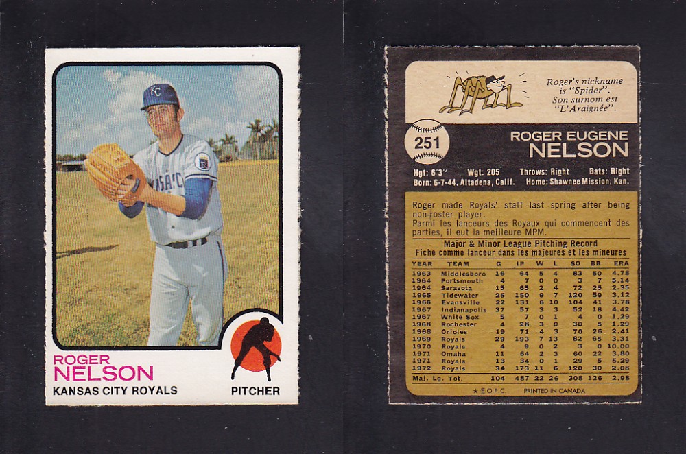 1973 O-PEE-CHEE BASEBALL CARD #251 R. NELSON photo 1973 O-PEE-CHEE BASEBALL CARD #251 R. NELSON photo