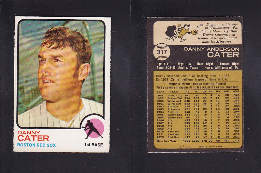 1973 O-PEE-CHEE BASEBALL CARD #317 D. CATER photo 1973 O-PEE-CHEE BASEBALL CARD #317 D. CATER photo