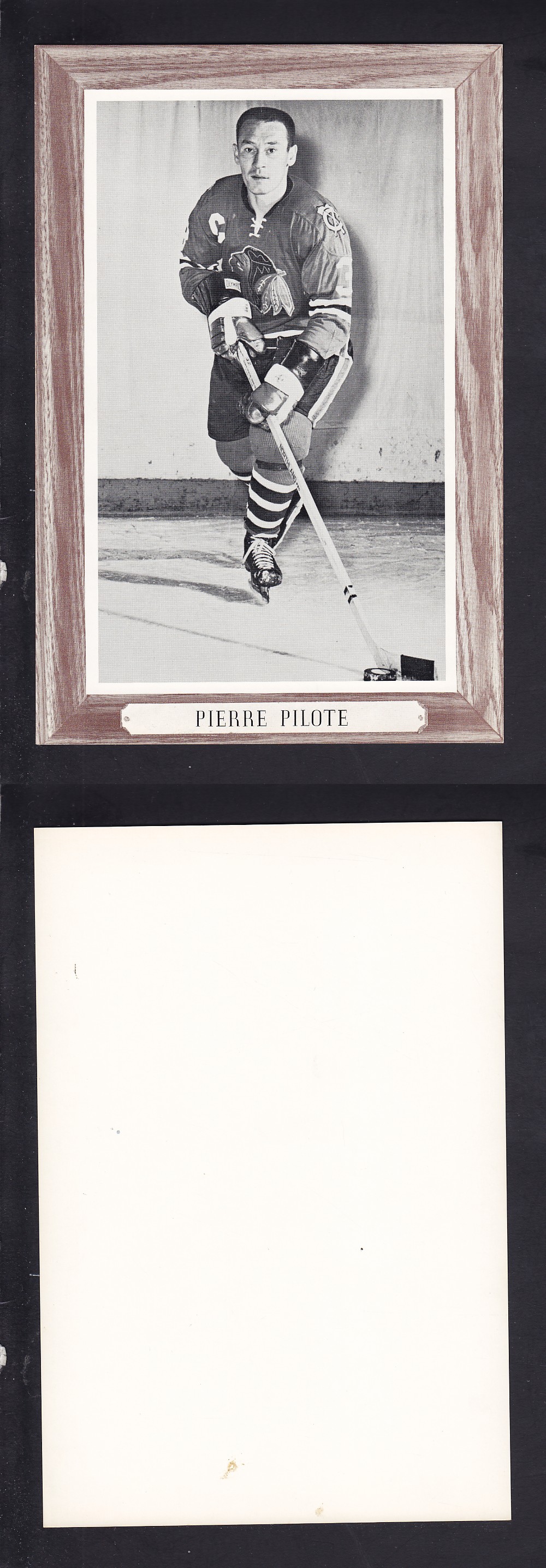 1964-67 BEEHIVE PHOTO GR. 3 P. PILOTE V.2 *SP* photo 1964-67 BEEHIVE PHOTO GR. 3 P. PILOTE V.2 *SP* photo