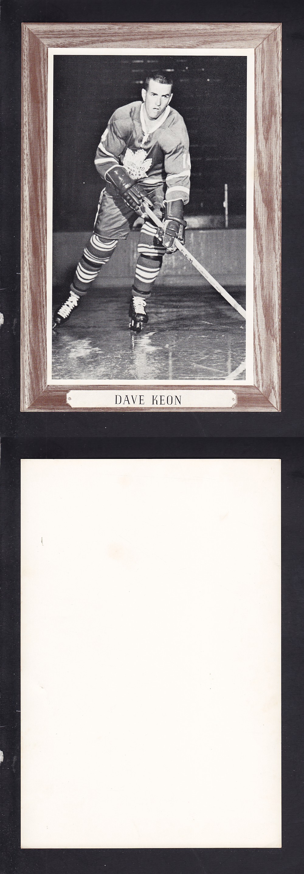 1964-67 BEEHIVE PHOTO GR. 3 D. KEON V.2 *SP* photo 1964-67 BEEHIVE PHOTO GR. 3 D. KEON V.2 *SP* photo