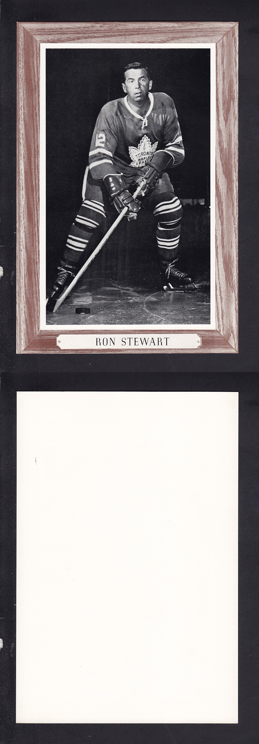 1964-67 BEEHIVE PHOTO GR. 3 R. STEWART V.2 *SP* photo 1964-67 BEEHIVE PHOTO GR. 3 R. STEWART V.2 *SP* photo