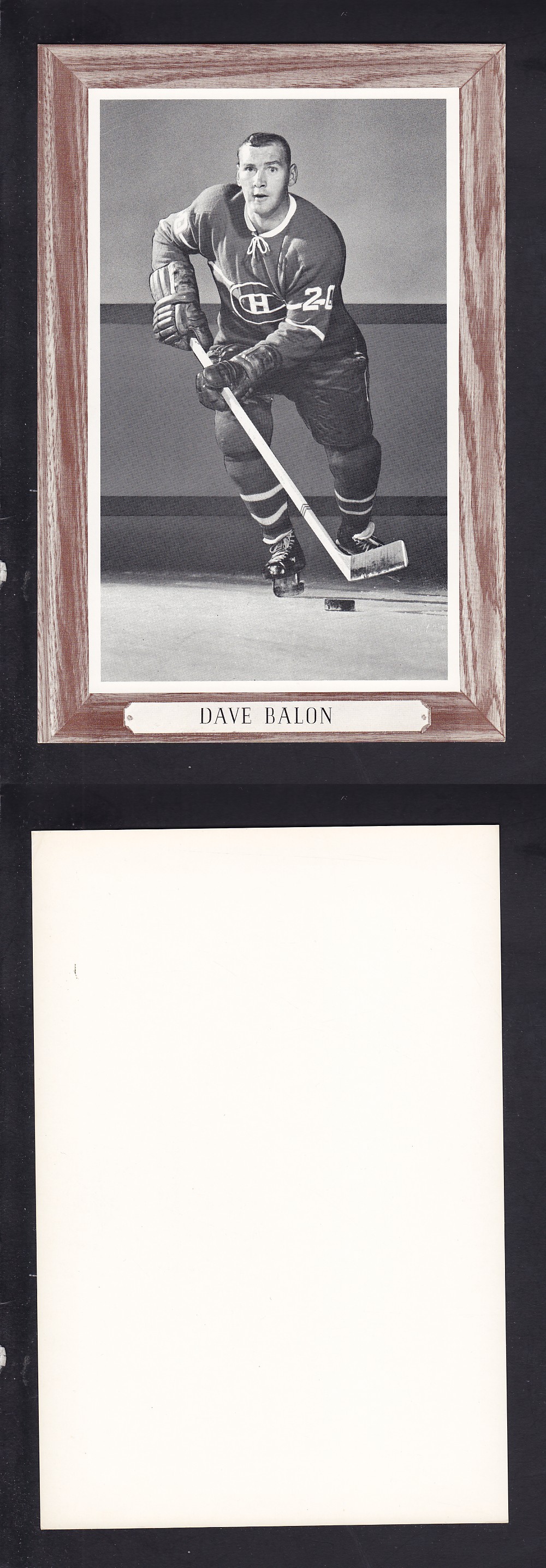 1964-67 BEEHIVE PHOTO GR. 3 D. BALON photo 1964-67 BEEHIVE PHOTO GR. 3 D. BALON photo