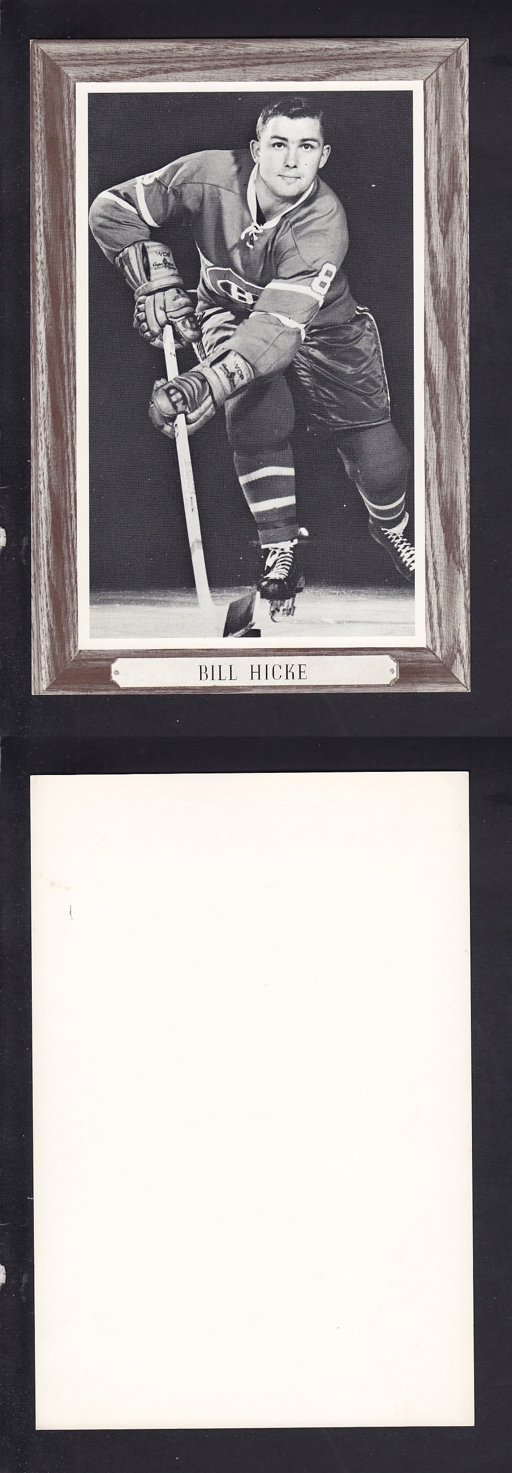 1964-67 BEEHIVE PHOTO GR. 3 B. HICKE photo 1964-67 BEEHIVE PHOTO GR. 3 B. HICKE photo