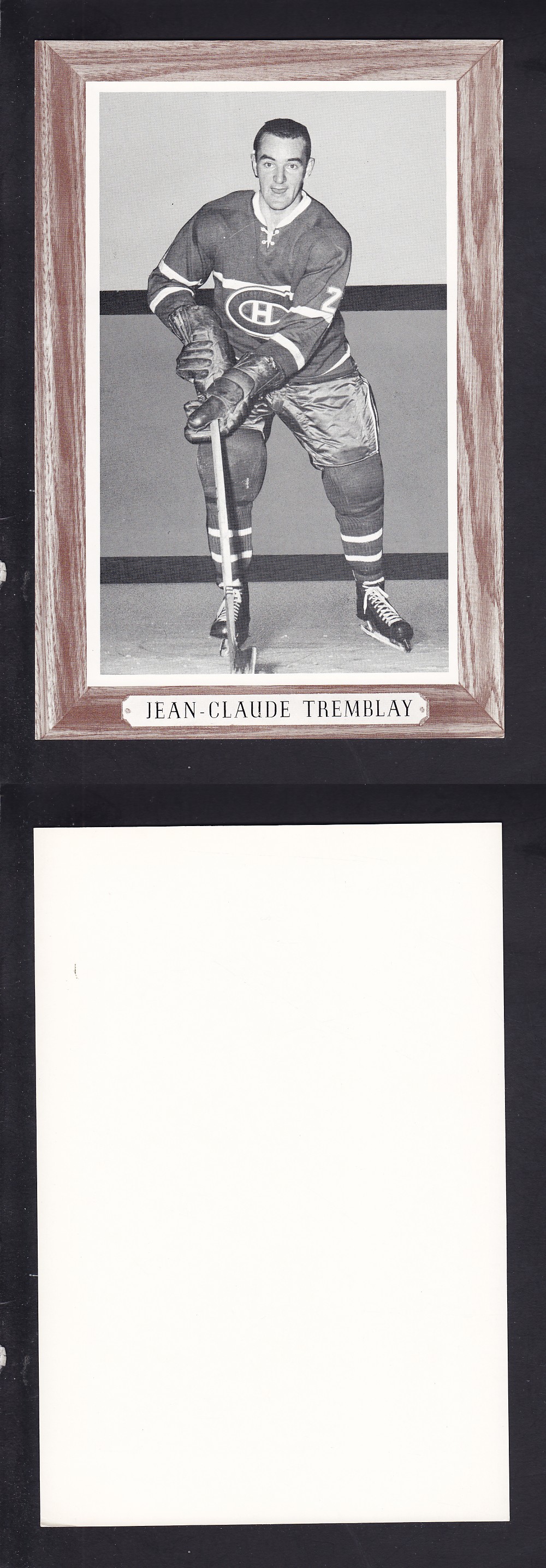 1964-67 BEEHIVE PHOTO GR. 3 J-C. TREMBLAY photo 1964-67 BEEHIVE PHOTO GR. 3 J-C. TREMBLAY photo