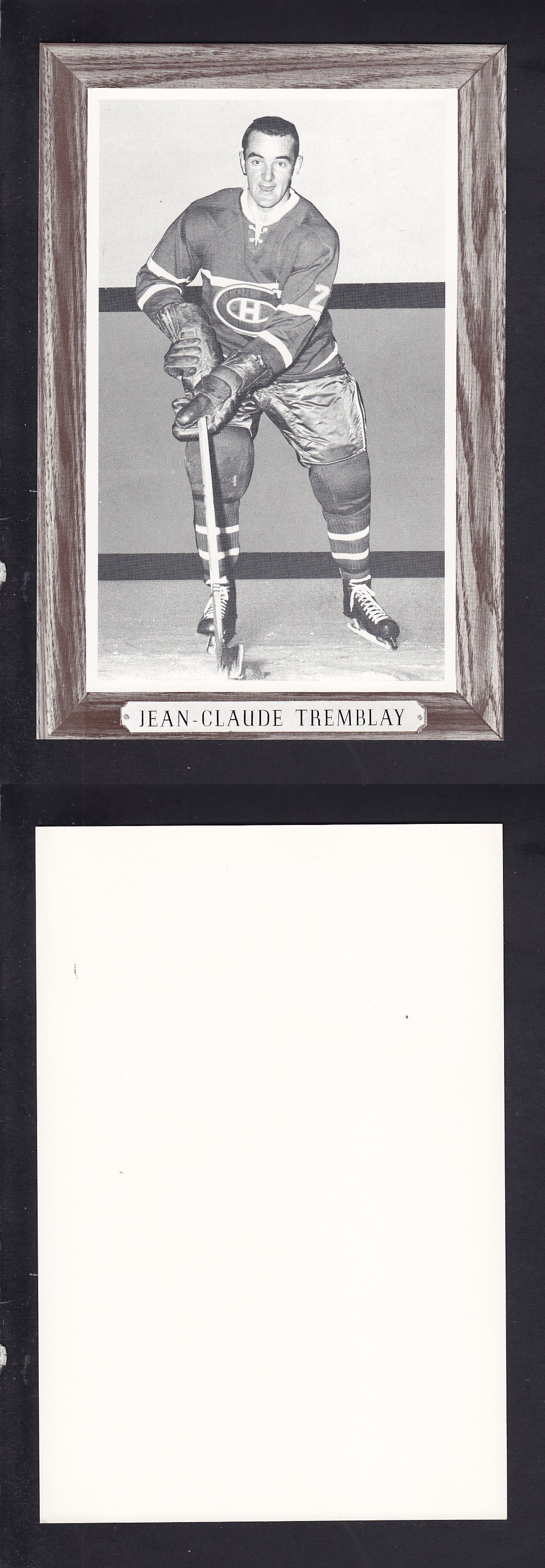 1964-67 BEEHIVE PHOTO GR. 3 J-C. TREMBLAY photo 1964-67 BEEHIVE PHOTO GR. 3 J-C. TREMBLAY photo