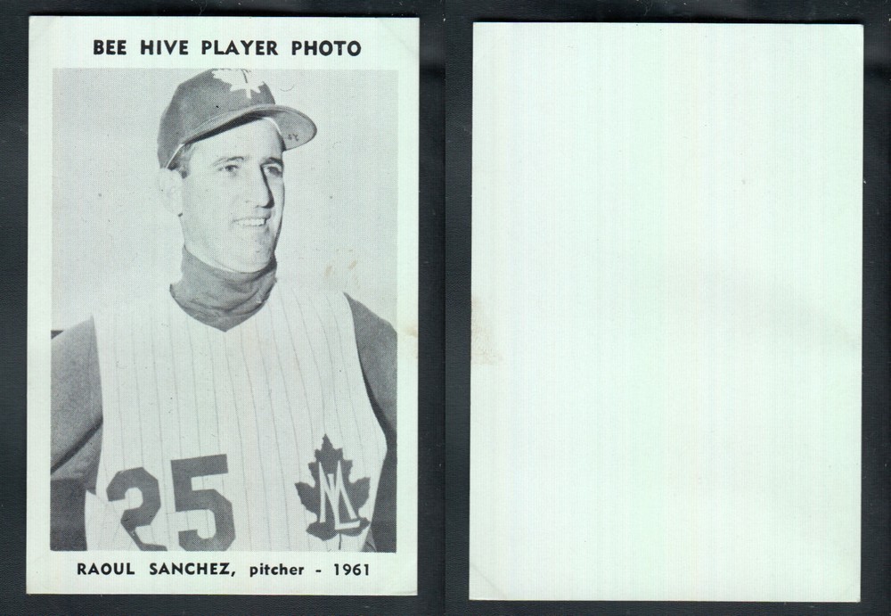1961 BEEHIVE TORONTO MAPLE LEAFS BASEBALL CARD R. SANCHEZ photo 1961 BEEHIVE TORONTO MAPLE LEAFS BASEBALL CARD R. SANCHEZ photo