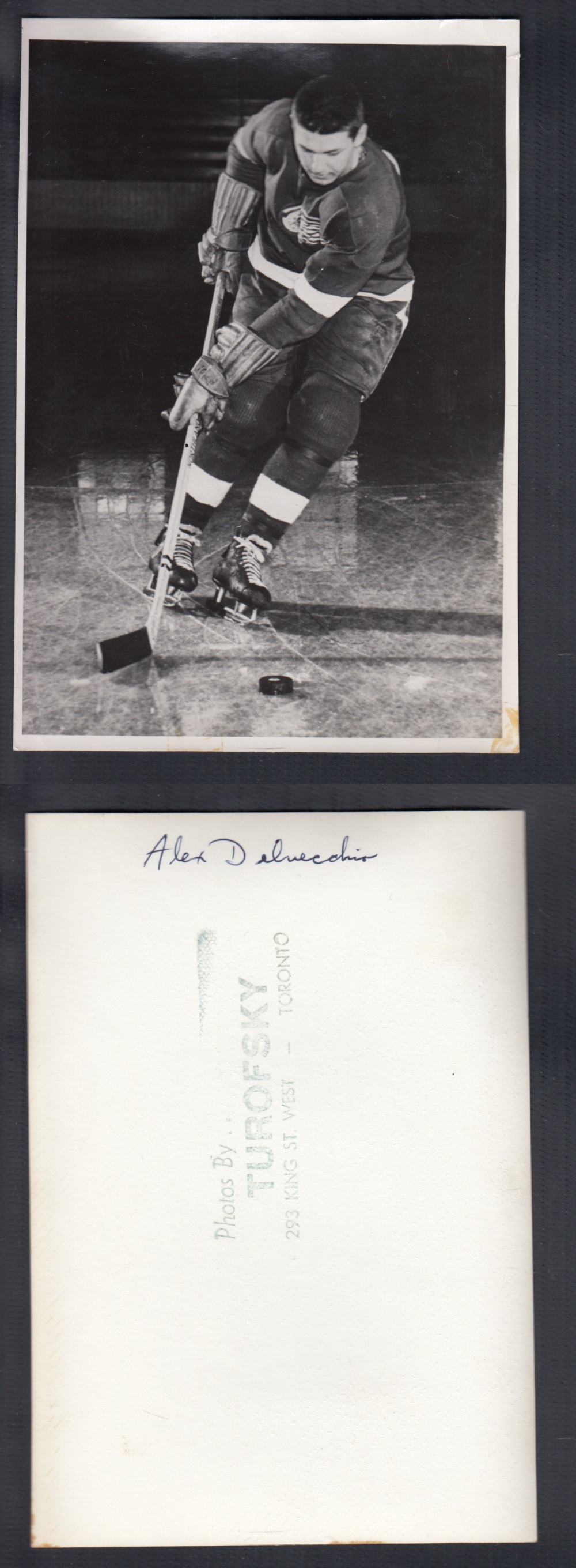 1950'S DETROIT RED WINGS MEDIA PHOTO A. DELVECCHIO photo 1950'S DETROIT RED WINGS MEDIA PHOTO A. DELVECCHIO photo